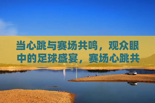 当心跳与赛场共鸣,观众眼中的足球盛宴,赛场心跳共鸣,眼中足球盛宴