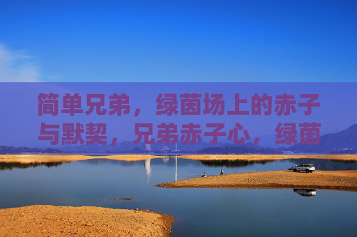 简单兄弟,绿茵场上的赤子与默契,兄弟赤子心,绿茵默契情