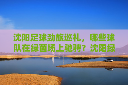 沈阳足球劲旅巡礼,哪些球队在绿茵场上驰骋?沈阳绿茵劲旅巡礼