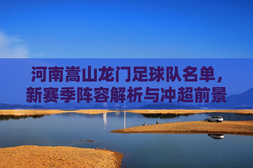河南嵩山龙门足球队名单,新赛季阵容解析与冲超前景展望,河南嵩山龙门新赛季阵容解析与冲超前景展望