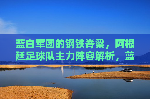 蓝白军团的钢铁脊梁,阿根廷足球队主力阵容解析,蓝白军团钢铁脊梁,阿根廷主力阵容解析