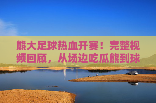 熊大足球热血开赛！完整视频回顾，从场边吃瓜熊到球场救世主的逆袭之路，熊大足球逆袭，从场边吃瓜到球场救世主