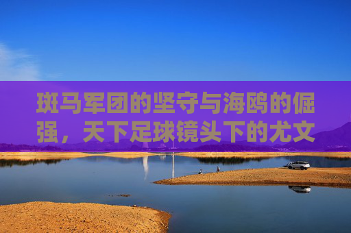 斑马军团的坚守与海鸥的倔强，天下足球镜头下的尤文图斯vs热那亚，斑马坚守对海鸥倔强，天下足球镜头下的尤文图斯vs热那亚