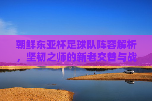 朝鲜东亚杯足球队阵容解析，坚韧之师的新老交替与战术坚守，朝鲜东亚杯，坚韧之师的新老交替与战术坚守
