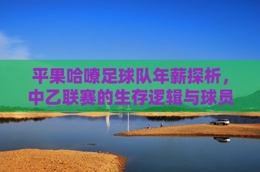 平果哈嘹足球队年薪探析,中乙联赛的生存逻辑与球员价值,平果哈嘹足球队年薪探析,中乙联赛生存逻辑与球员价值