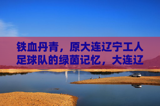 铁血丹青,原大连辽宁工人足球队的绿茵记忆,大连辽宁工人足球队,铁血丹青的绿茵记忆