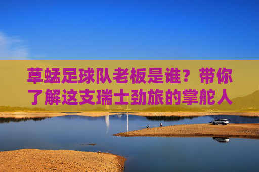 草蜢足球队老板是谁?带你了解这支瑞士劲旅的掌舵人,草蜢足球队老板,瑞士劲旅掌舵人