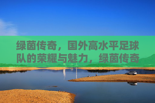 绿茵传奇,国外高水平足球队的荣耀与魅力,绿茵传奇,国外高水平足球队的荣耀与魅力