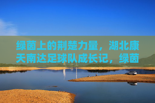 绿茵上的荆楚力量，湖北康天南达足球队成长记，绿茵铸就荆楚力量，湖北康天南达足球队成长记