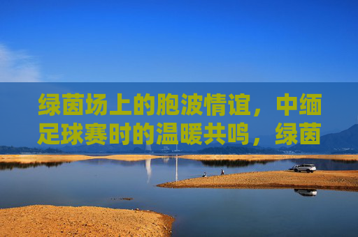绿茵场上的胞波情谊,中缅足球赛时的温暖共鸣,绿茵场上的胞波情谊,中缅足球赛的温暖共鸣