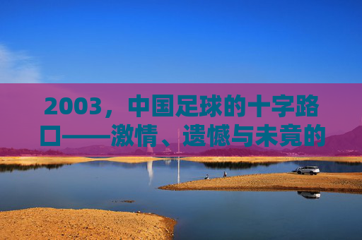 2003，中国足球的十字路口——激情、遗憾与未竟的征途，2003，中国足球的十字路口——激情、遗憾与未竟的征途