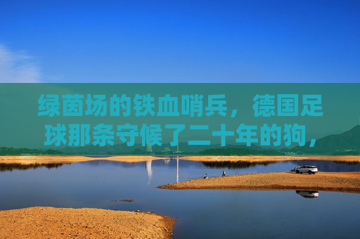 绿茵场的铁血哨兵,德国足球那条守候了二十年的狗,绿茵铁血哨兵,德国足球二十年的忠诚守候