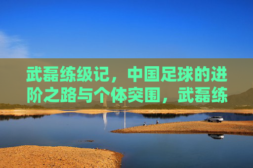 武磊练级记,中国足球的进阶之路与个体突围,武磊练级记,中国足球进阶与个体突围