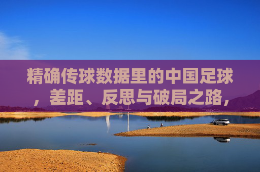 精确传球数据里的中国足球，差距、反思与破局之路，数据透视中国足球，传球差距、反思与破局之路