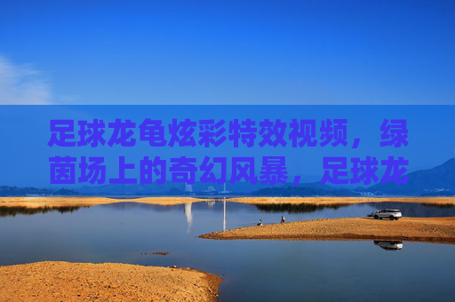 足球龙龟炫彩特效视频,绿茵场上的奇幻风暴,足球龙龟,绿茵炫彩奇幻风暴