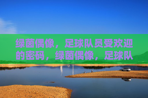 绿茵偶像,足球队员受欢迎的密码,绿茵偶像,足球队员受欢迎的密码