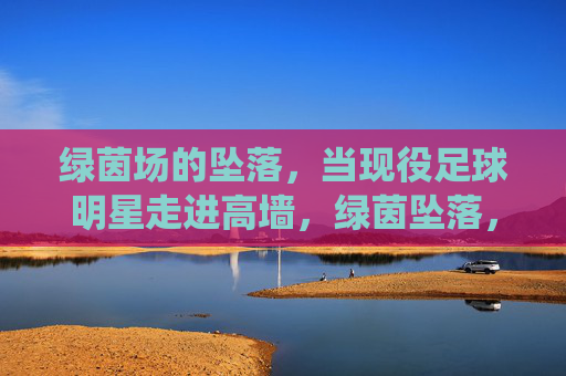 绿茵场的坠落,当现役足球明星走进高墙,绿茵坠落,现役球星走进高墙