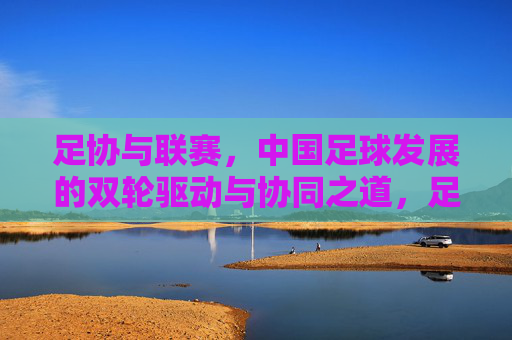 足协与联赛，中国足球发展的双轮驱动与协同之道，足协与联赛，中国足球发展的双轮协同之道