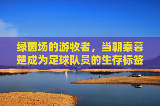 绿茵场的游牧者,当朝秦暮楚成为足球队员的生存标签,朝秦暮楚,绿茵场游牧者的生存标签