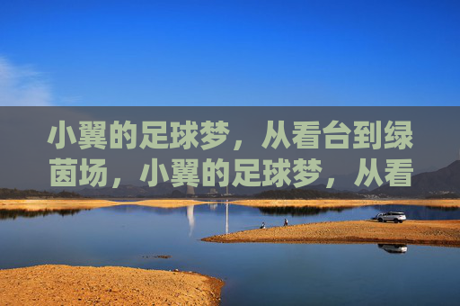小翼的足球梦,从看台到绿茵场,小翼的足球梦,从看台到绿茵场