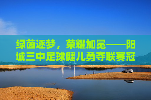 绿茵逐梦,荣耀加冕——阳城三中足球健儿勇夺联赛冠军,阳城三中足球健儿勇夺联赛冠军