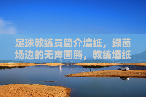 足球教练员简介墙纸,绿茵场边的无声图腾,教练墙纸,绿茵场边的无声图腾
