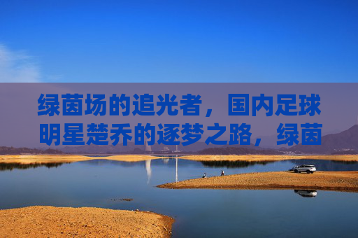 绿茵场的追光者,国内足球明星楚乔的逐梦之路,绿茵追光者,楚乔逐梦路