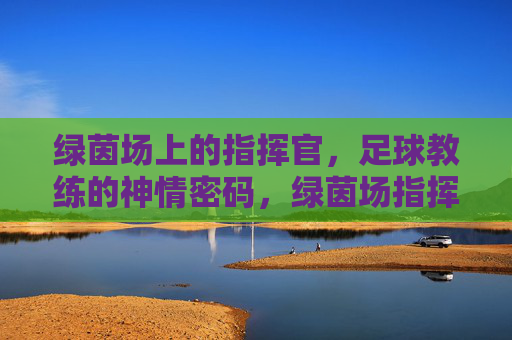 绿茵场上的指挥官，足球教练的神情密码，绿茵场指挥官的神情密码