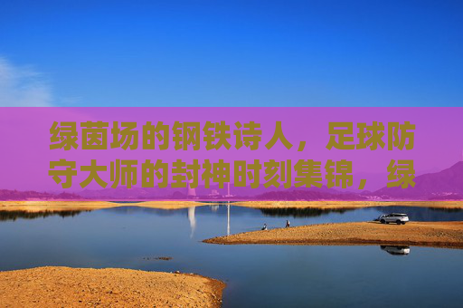 绿茵场的钢铁诗人,足球防守大师的封神时刻集锦,绿茵场钢铁诗人,足球防守大师封神时刻