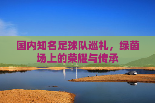 国内知名足球队巡礼,绿茵场上的荣耀与传承