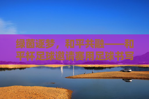 绿茵逐梦,和平共融——和平杯足球邀请赛用足球书写友谊诗篇,绿茵逐梦,友谊共融——和平杯足球邀请赛