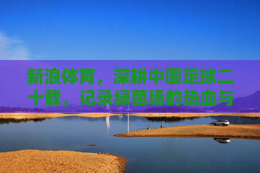 新浪体育，深耕中国足球二十载，记录绿茵场的热血与遗憾，新浪体育深耕中国足球二十载，记录绿茵热血与遗憾