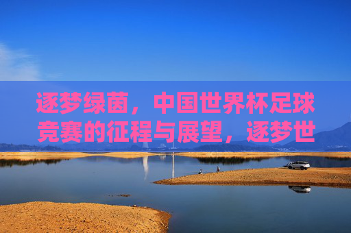 逐梦绿茵，中国世界杯足球竞赛的征程与展望，逐梦世界杯绿茵，中国足球的征程与展望