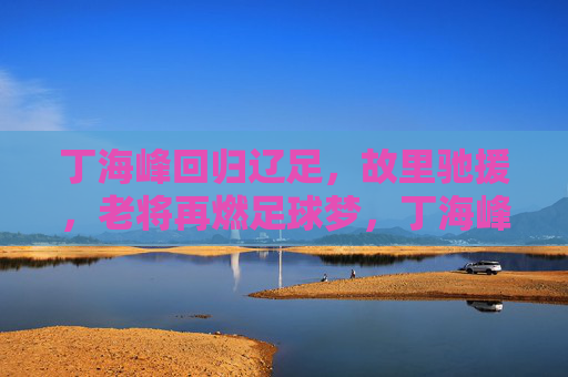 丁海峰回归辽足,故里驰援,老将再燃足球梦,丁海峰故里驰援辽足,老将再燃足球梦