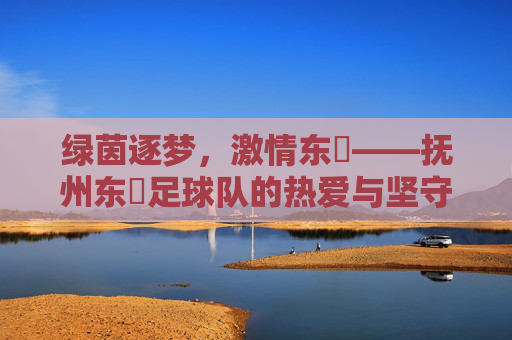 绿茵逐梦,激情东昇——抚州东昇足球队的热爱与坚守,抚州东昇,绿茵逐梦的热爱与坚守