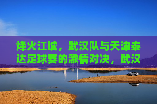 烽火江城,武汉队与天津泰达足球赛的激情对决,武汉队VS天津泰达,烽火江城激情对决