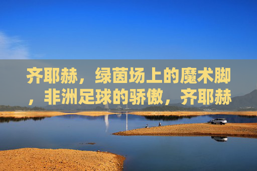 齐耶赫,绿茵场上的魔术脚,非洲足球的骄傲,齐耶赫,绿茵魔术脚,非洲足球骄傲