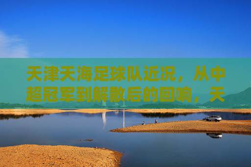 天津天海足球队近况，从中超冠军到解散后的回响，天津天海，从中超冠军到解散后的足坛回响