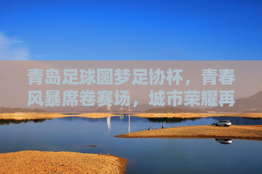 青岛足球圆梦足协杯，青春风暴席卷赛场，城市荣耀再添新章，青岛足球足协杯圆梦，青春风暴书写城市荣耀