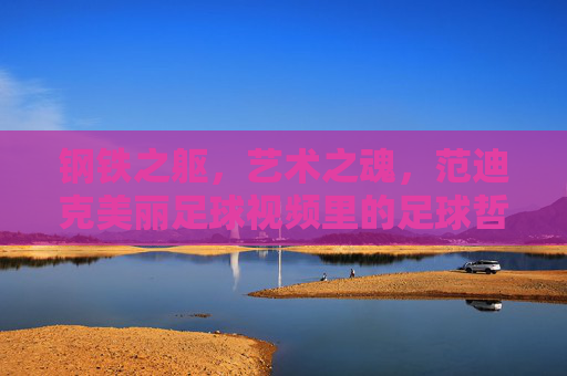 钢铁之躯,艺术之魂,范迪克美丽足球视频里的足球哲学,钢铁之躯铸艺术之魂,范迪克的美丽足球哲学