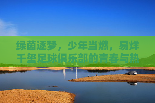 绿茵逐梦,少年当燃,易烊千玺足球俱乐部的青春与热爱,易烊千玺足球俱乐部,绿茵逐梦,少年当燃