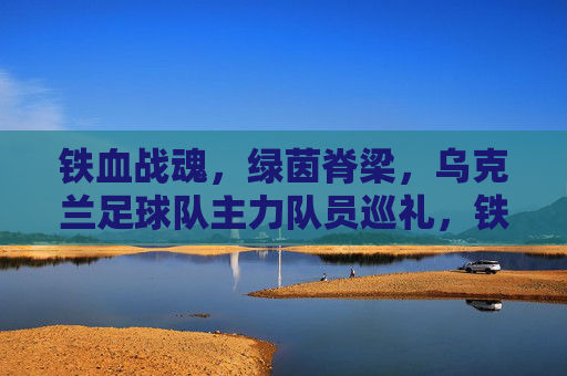 铁血战魂,绿茵脊梁,乌克兰足球队主力队员巡礼,铁血战魂铸绿茵脊梁,乌克兰主力队员巡礼