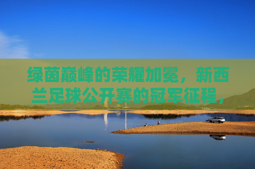 绿茵巅峰的荣耀加冕，新西兰足球公开赛的冠军征程，绿茵巅峰加冕，新西兰足球公开赛冠军征程