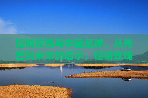 铿锵玫瑰与中国足球，从光芒到未来的启示，铿锵玫瑰与中国足球，从光芒到未来启示