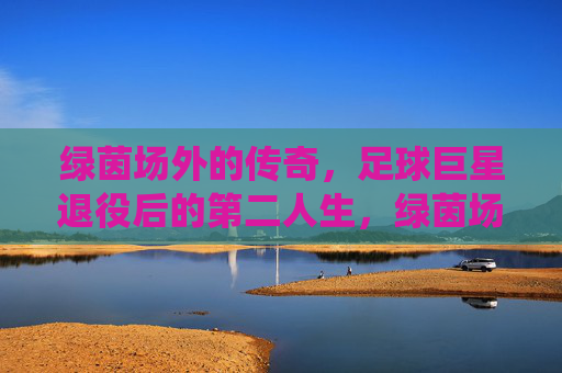 绿茵场外的传奇，足球巨星退役后的第二人生，绿茵场外传奇，足球巨星退役后的第二人生