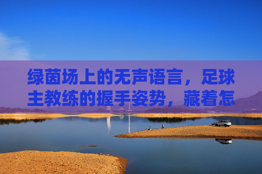 绿茵场上的无声语言,足球主教练的握手姿势,藏着怎样的战术与心机?绿茵场握手暗语,足球教练的无声战术心机