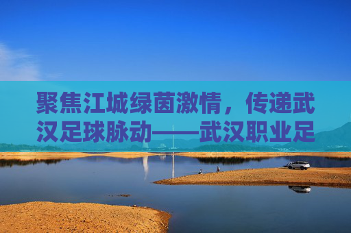 聚焦江城绿茵激情,传递武汉足球脉动——武汉职业足球新闻网,一座城市的足球记忆与梦想,江城绿茵脉动,武汉足球的记忆与梦想