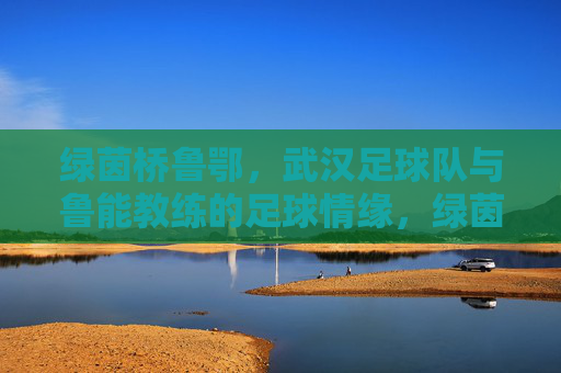 绿茵桥鲁鄂，武汉足球队与鲁能教练的足球情缘，绿茵桥鲁鄂，武汉足球队与鲁能教练的足球情缘