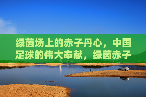 绿茵场上的赤子丹心,中国足球的伟大奉献,绿茵赤子丹心,中国足球奉献