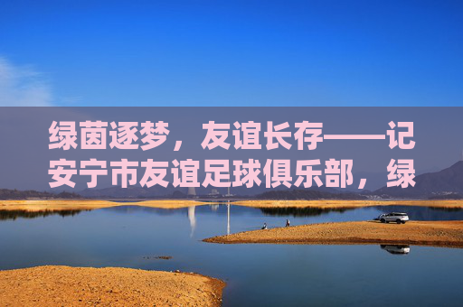 绿茵逐梦,友谊长存——记安宁市友谊足球俱乐部,绿茵逐梦,友谊长存——安宁市友谊足球俱乐部